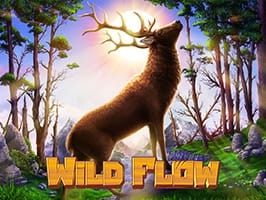 Wild Flow screenshot